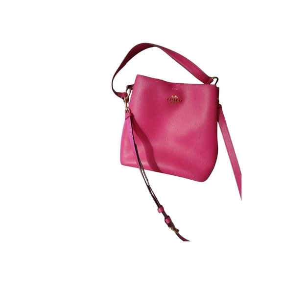 Coach Berry Mollie Bucket Crossbody Bag - Picture 3 of 8